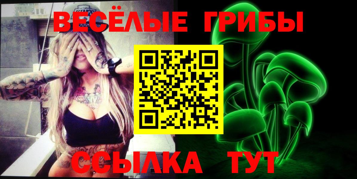 Псилоцибиновые грибы Cubensis Сухой Лог