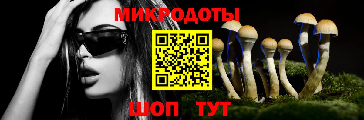 Псилоцибиновые грибы прущие грибы  Галлюциногенные грибы Psilocybe  Сухой Лог  Вход с VPN 